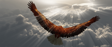 Der Adler – eine Geschichte über unser wahres Sein