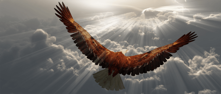 Mehr über den Artikel erfahren Der Adler – eine Geschichte über unser wahres Sein