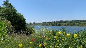 Unberührte baskenländische Natur