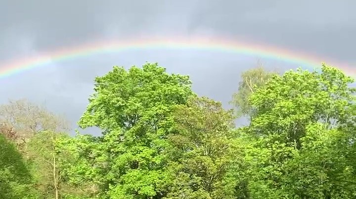 Ein Regenbogen und seine Bedeutung