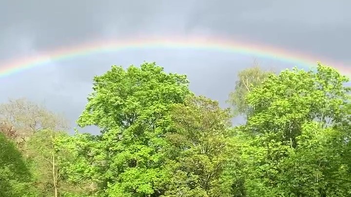 Read more about the article Ein Regenbogen und seine Bedeutung