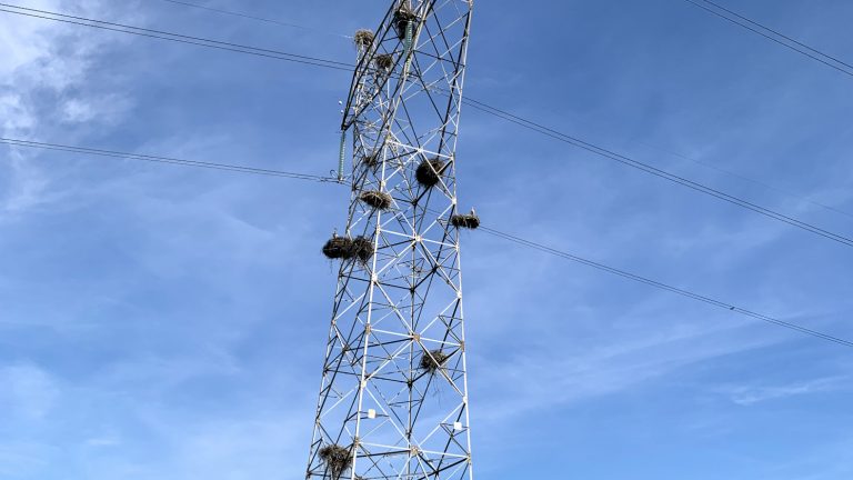 Mehr über den Artikel erfahren Unter Strom