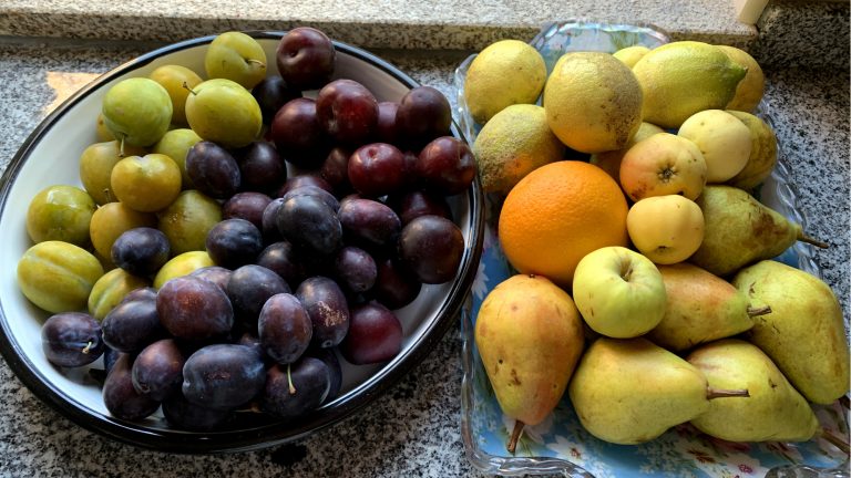 Mehr über den Artikel erfahren Besuch auf einem portugiesischen Markt