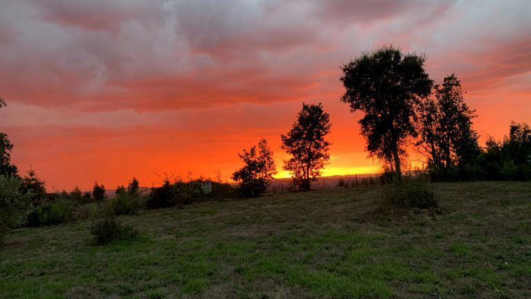 Mehr über den Artikel erfahren Feuerroter Himmel