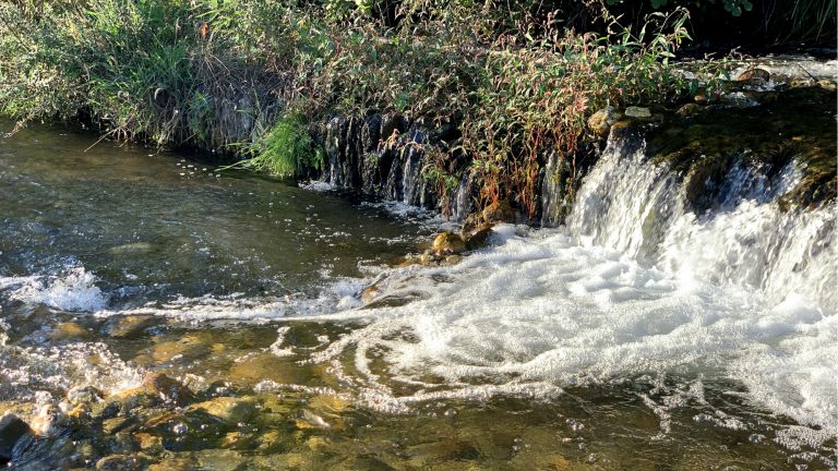 Mehr über den Artikel erfahren Fluss oder See